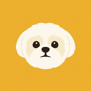 亚洲首席技术官 SHIH CTO | SHIH