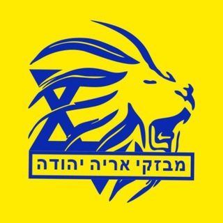 אריה יהודה ✡️