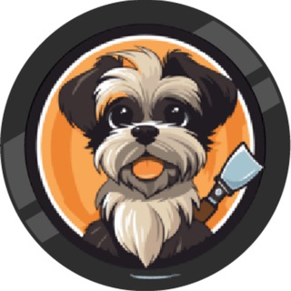 CHITZO INU