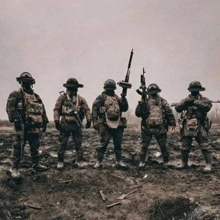 военные эдиты предложения и сотрудничество