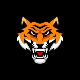 Binomo Bitcoin Signals Tips