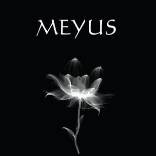 MeYuS