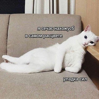 Стася пытается выжить💃| 18+