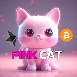 PinkCat KOL Global