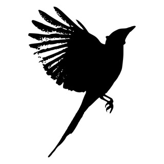 The Sparrow