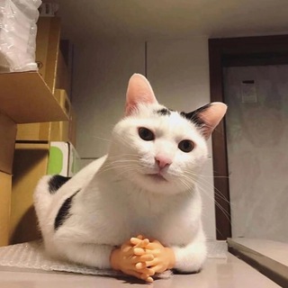 Арсений Рассвет