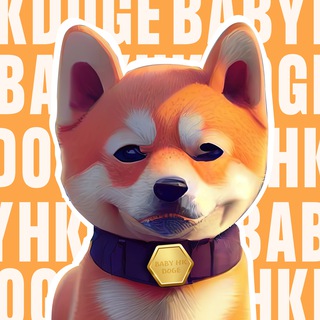 BABYHKDOGE GLOBAL