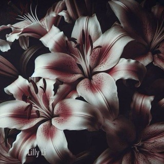 Июньская лилия──⃝─⃝⃝⃝⃝──