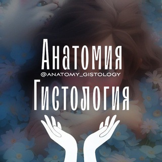 Чат студентов-медиков