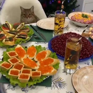 Никита