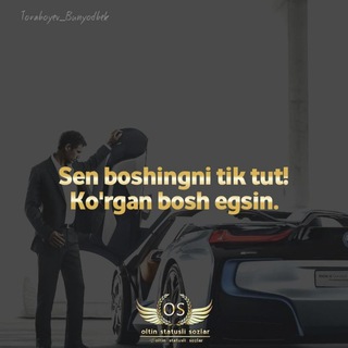 OLTIN STATUSLAR