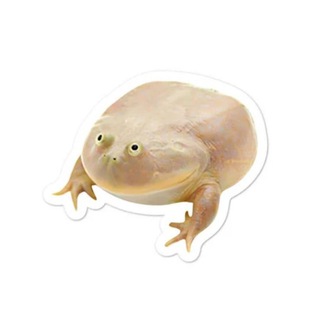 Wednesday aaaaaaa!!!