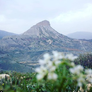 علی ali