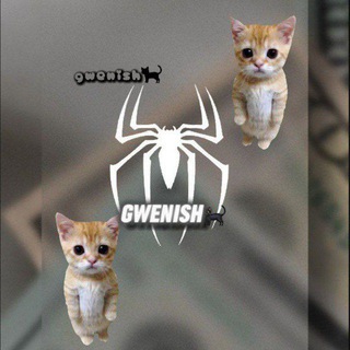 gwenish2🐈‍⬛️