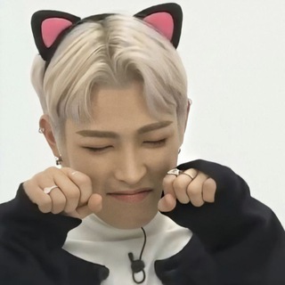 kittenmeowpost