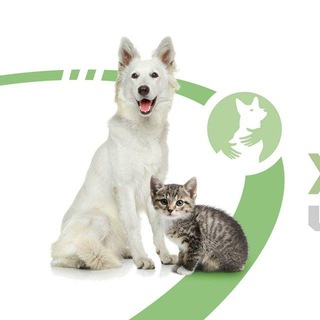 ЗООВОЛОНТЕРИ ЧЕРНІГОВА🐱ДОПОМОГА ТВАРИНАМ🇺🇦 УКРАЇНА, ЧЕРНІГІВ
