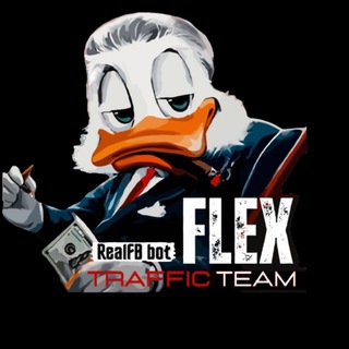 Flex Traffic TEAM