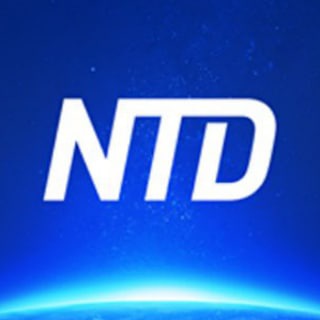 NTD Ukraine