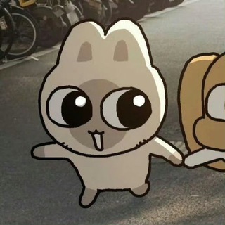 🐈‍⬛