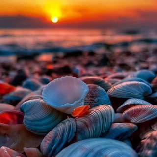Music Soul | Chillout, Relax, Ambient 🙏