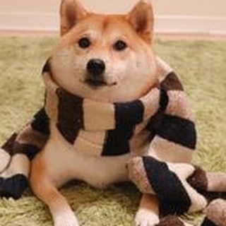Зерновая анонимка