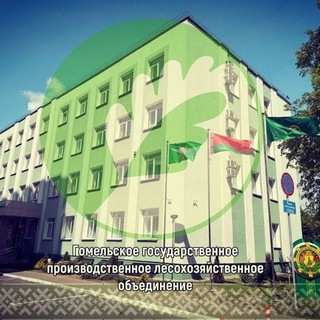 Лесоводы Гомельщины 🌳🌲🌳