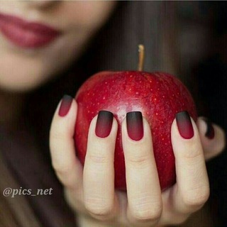 رتبه شووو با تبادل فایل✌