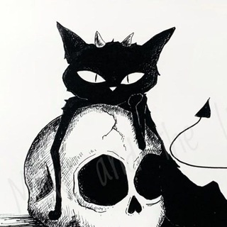 Diary of a Cat Insanity