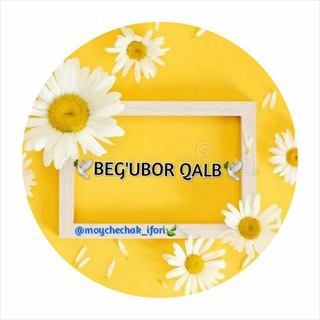 BEG‘UBOR QALB🕊