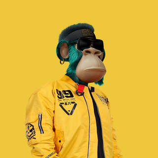 Trevor | LowCapCryptos