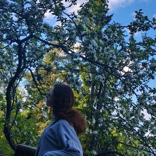 леляム