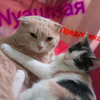 Nyaшная Предложка