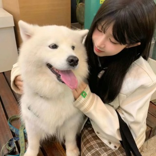 安迪