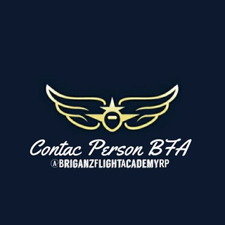 飛𝔅'BFA Help