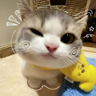 GIA ĐÌNH C10 MÃI ĐỈNH♥️