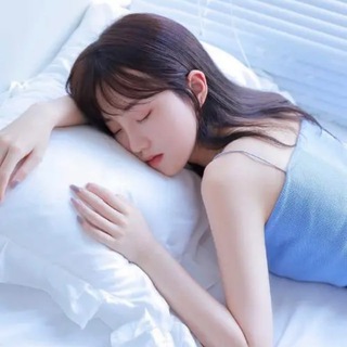 篮球体育资料库