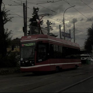в таганроге любят