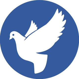 ZOECASH >> Migrating new proyect