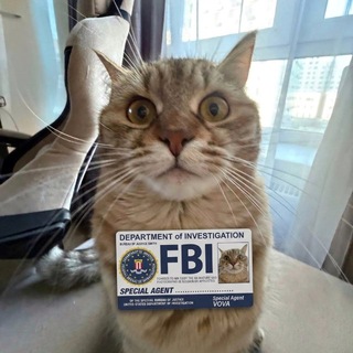 зебестбой