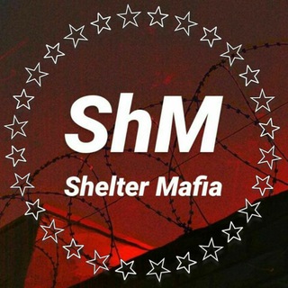 Shelter Mafia
