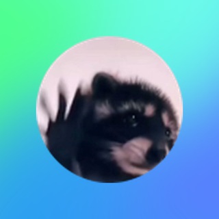 Kulgili videolar