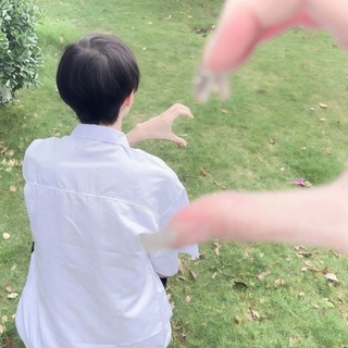 ʜᴀʀsᴀ