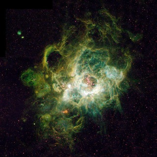 Cosmic Landscapes