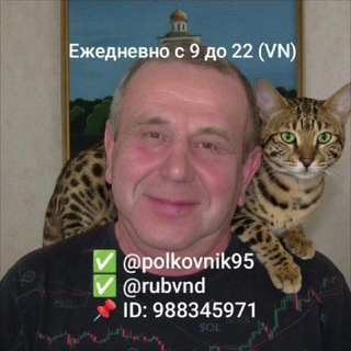 🇺 🇸 🇩 🇹 ПОЛКОВНИК