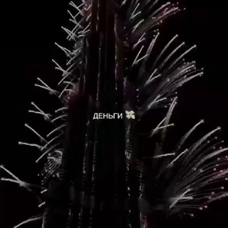 𝐌𝐢𝐤𝐨. 🌲
