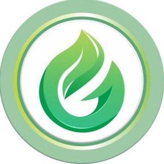 Revive Official News
