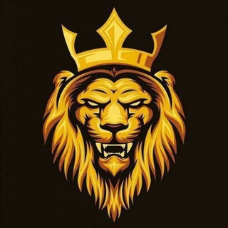دليل ثقه تمويل كروبات+ قنوات حقيقي+ ورشق تلي انستا حماده❤️
