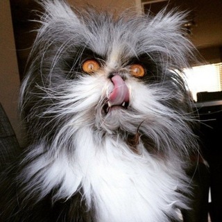 AleK <3