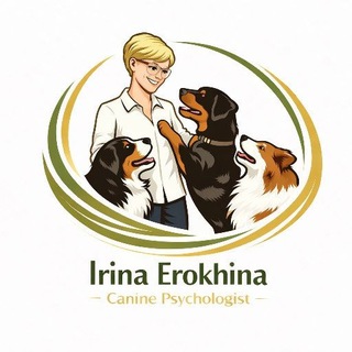 Нескучная жизнь с собакой