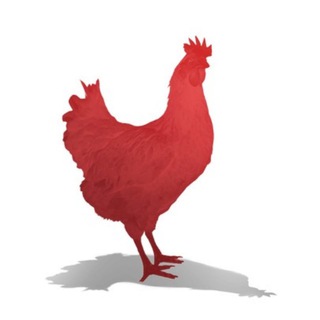 🐔雪崩雞chikn🔺中文休閒交流群
